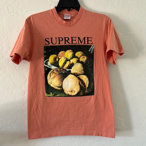 Supreme‎ Still Life T-Shirt in Terracotta - Picture 1 of 10